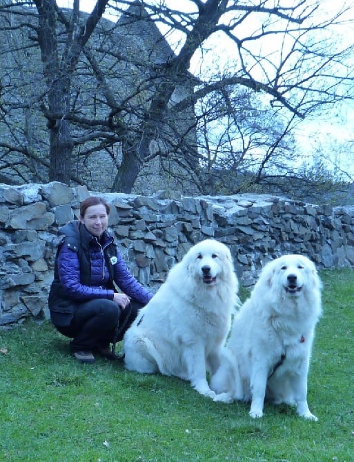 From Pyrlandia - Nationale d'élevage Tchèque 2015 Helfstyn Castle