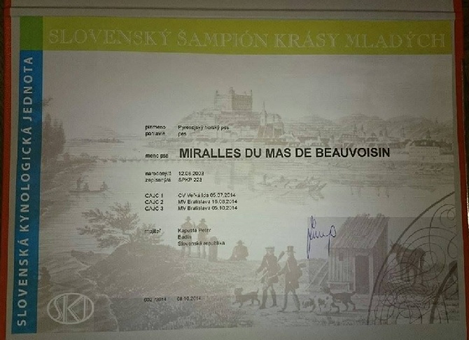 From Pyrlandia - 8.10.2014 - MIRALLES du Mas de Beauvoisin - jeune champion