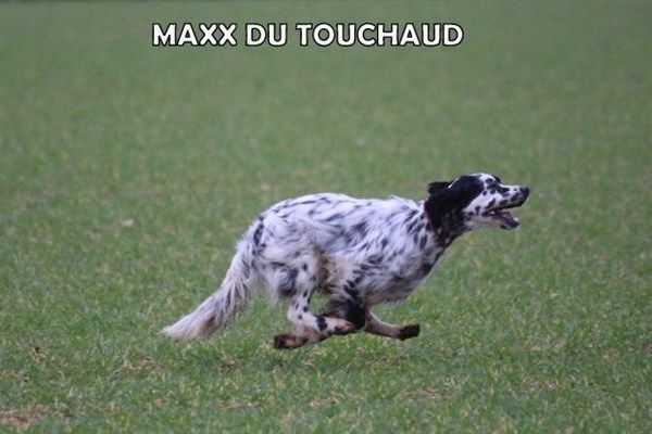 Du Touchaud - Serbie 13 03 2020