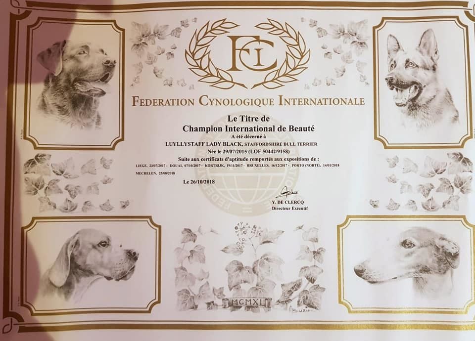 Del Clan De Los Diablos - Lady devient "Championne Internationale de Beauté"