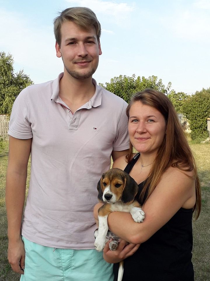 Du Moulin De Champiré - Beagle - Portée née le 26/06/2019