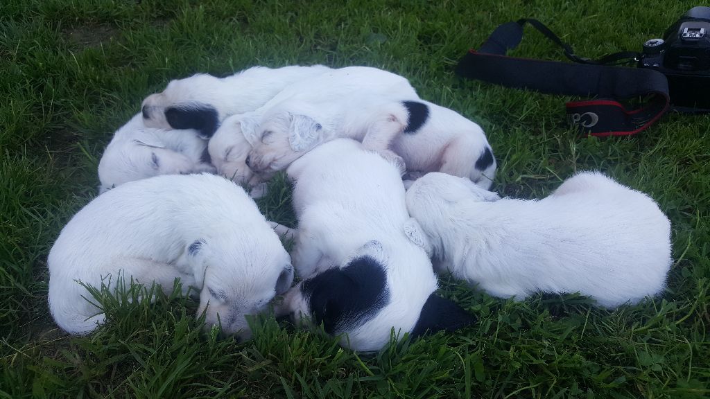 Des Pentes De La Mordoree - Première sieste à l'ombre dehors 