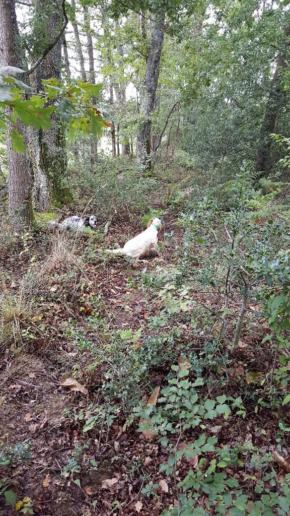 De La Coum Aux Belles - Une campagne bretonne difficile