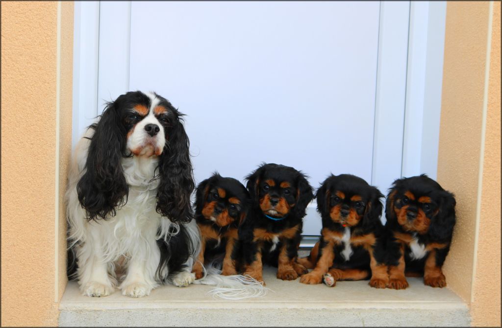 Des Petits Artistes - 2 mois mes bébés !!!