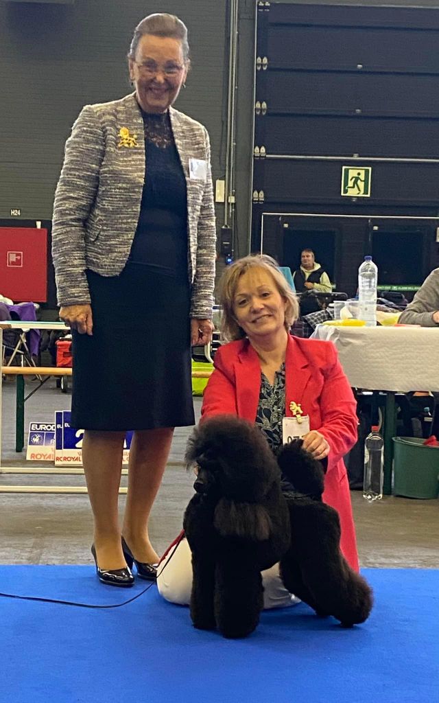 International Dog Show Kortrijk Belgique  Novembre 2023