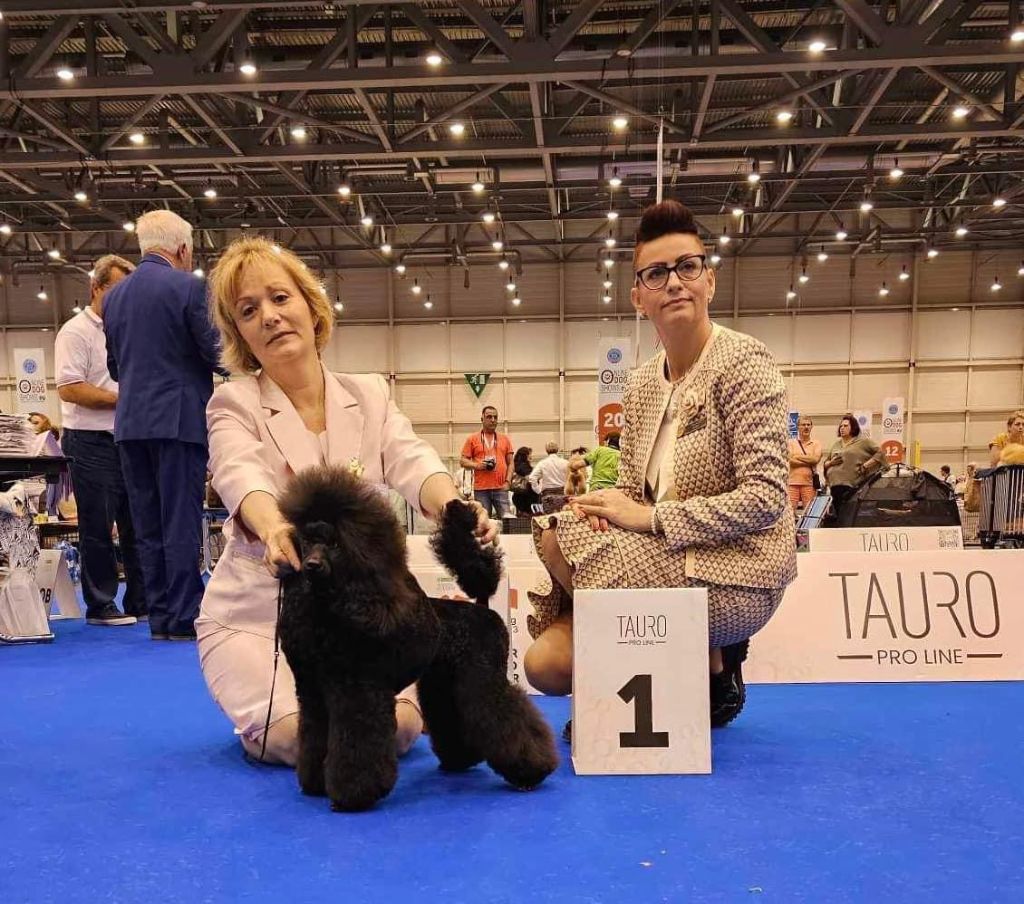 Generation top - World Dog Show Geneve Suisse aout 2023