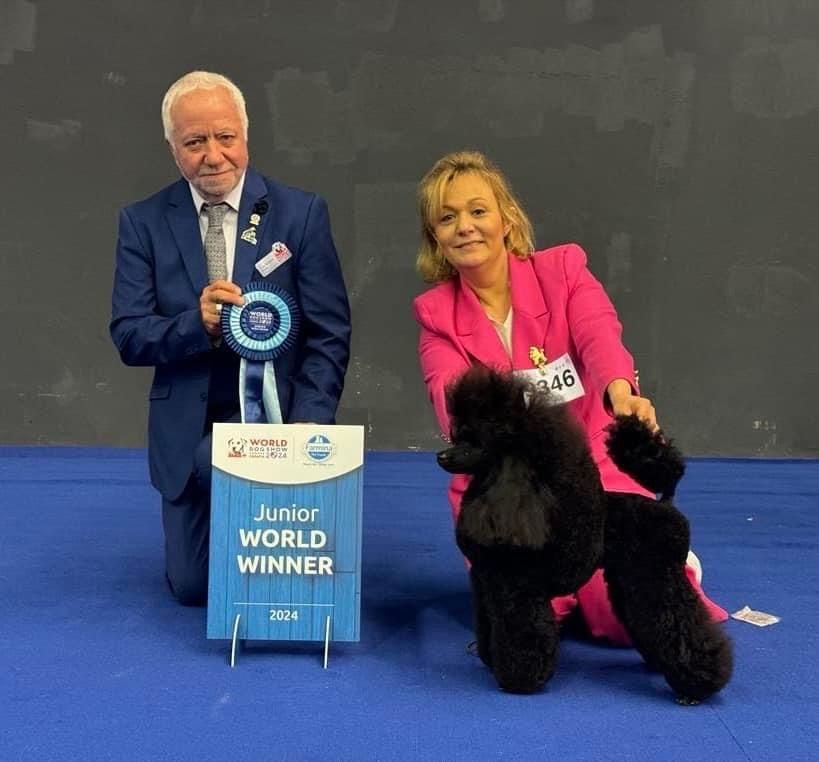 Generation top - World Dog Show Zagreb Croatie avril 2024