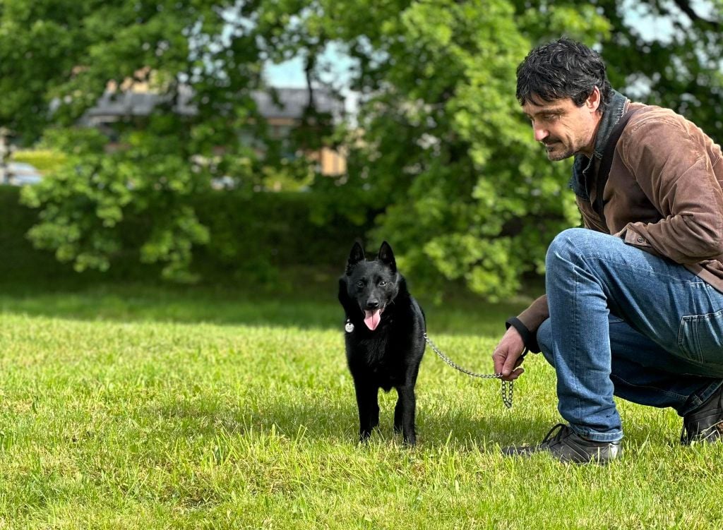 Bientôt des chiots !