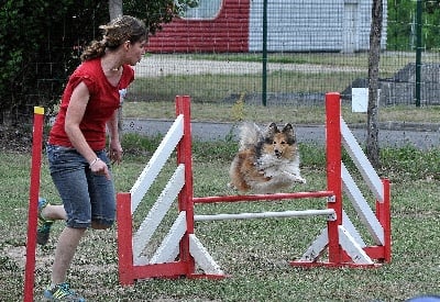 Du Grand Champ D' Aubertans - Fly......