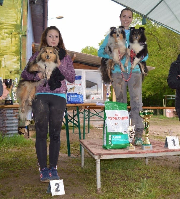 Du Grand Champ D' Aubertans - Sélectif GPF de Franche Comté...