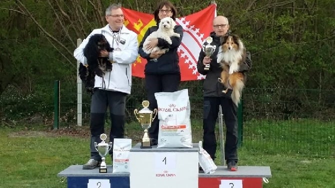 Du Grand Champ D' Aubertans - Championnat régional d'Alsace ...