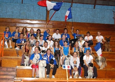 Du Grand Champ D' Aubertans - Vidéos du championnat International d'Agility Junior