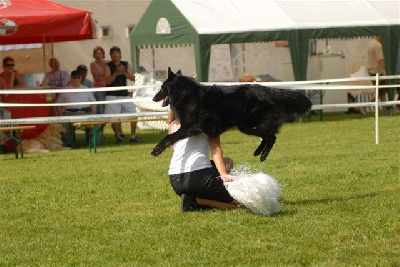 Du Grand Champ D' Aubertans - 1er concours obé rythmée à Messigny...