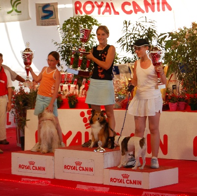 Du Grand Champ D' Aubertans - XXème Masters France d'Agility....