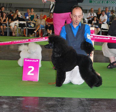 Torphan's Valley - Worldogshow 2011