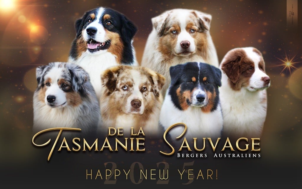 De La Tasmanie Sauvage - BONNE ANNÉE ! 