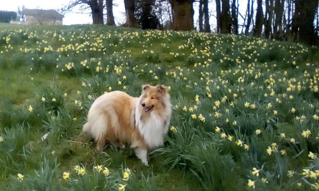 Du Mas Des Bergers - Après l'hiver le printemps !