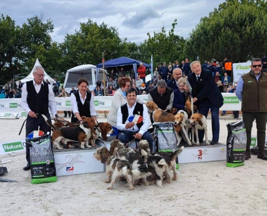 des Cotes de la Saunade - GRAND PRIX DU CHIEN DE CHASSE 