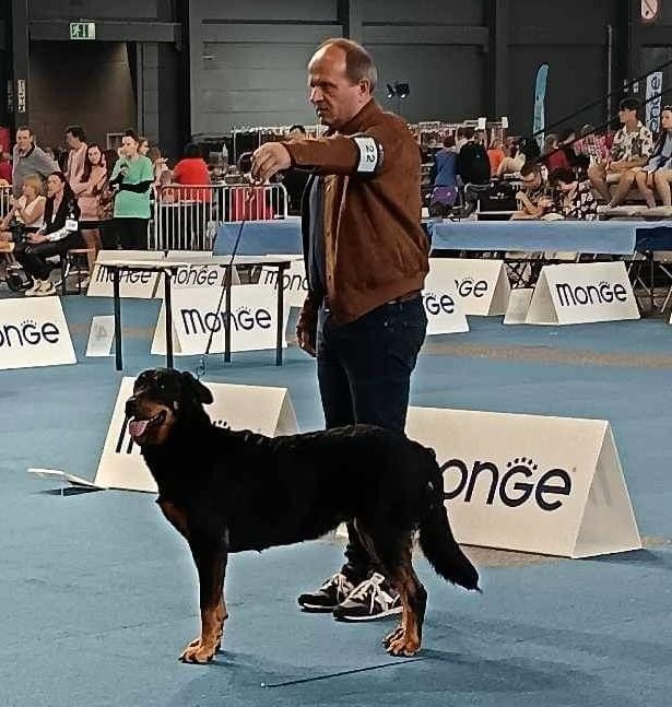 CH O'Neil Championne de Belgique