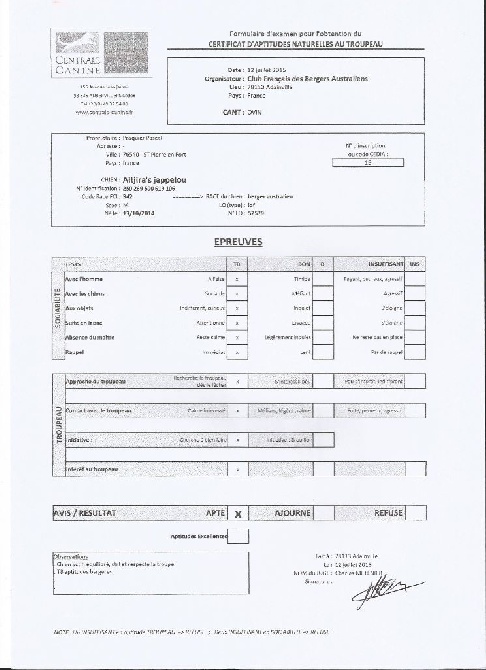 Altjira's - Jappeloup a son CANT à 8 mois