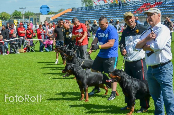 Of Legend Mysteria - IFR (championnat du monde ) 2015