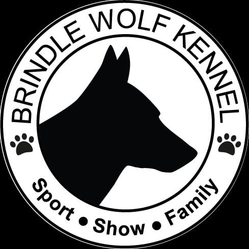 Brindle Wolf - Pourquoi cet affixe