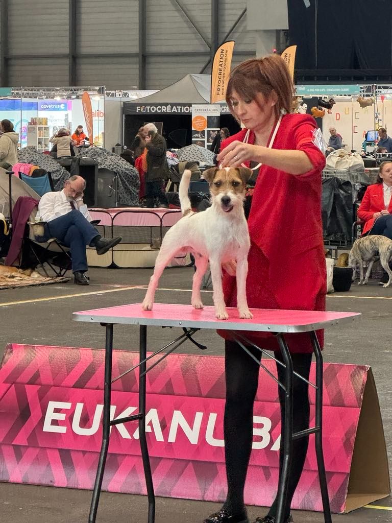 De L'airial De Laguloup - Résultats des enfants de mes chiens