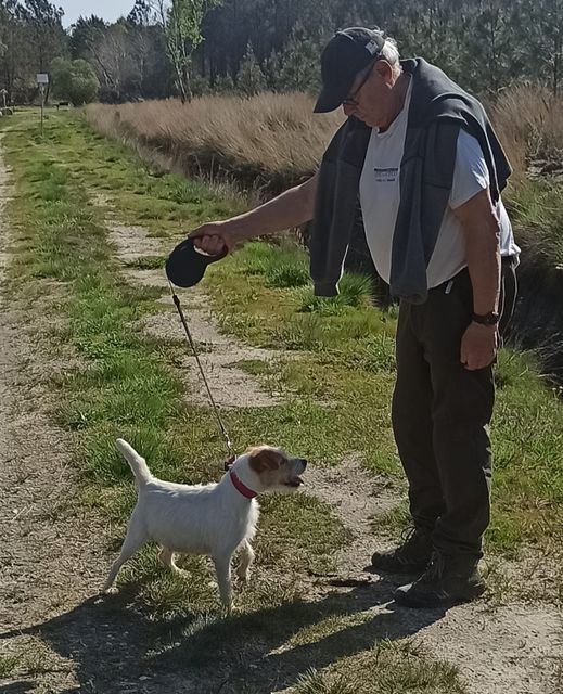 De L'airial De Laguloup - Bientôt l'arrivée des chiots...