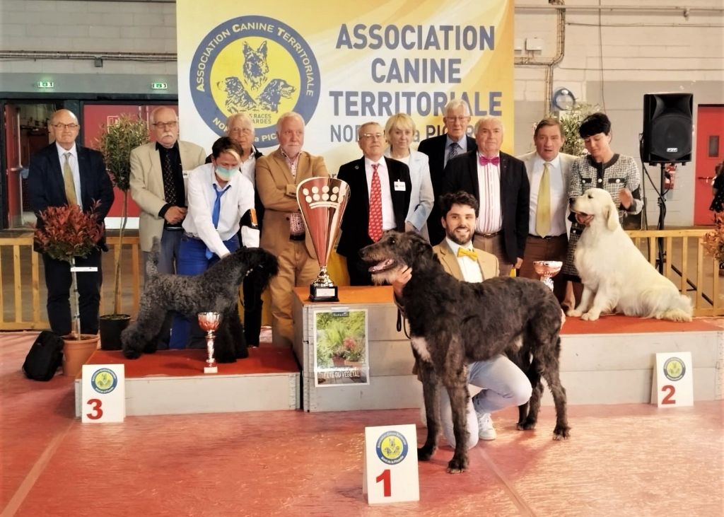 Antonius Vertragus - CUPIDON BEST IN SHOW