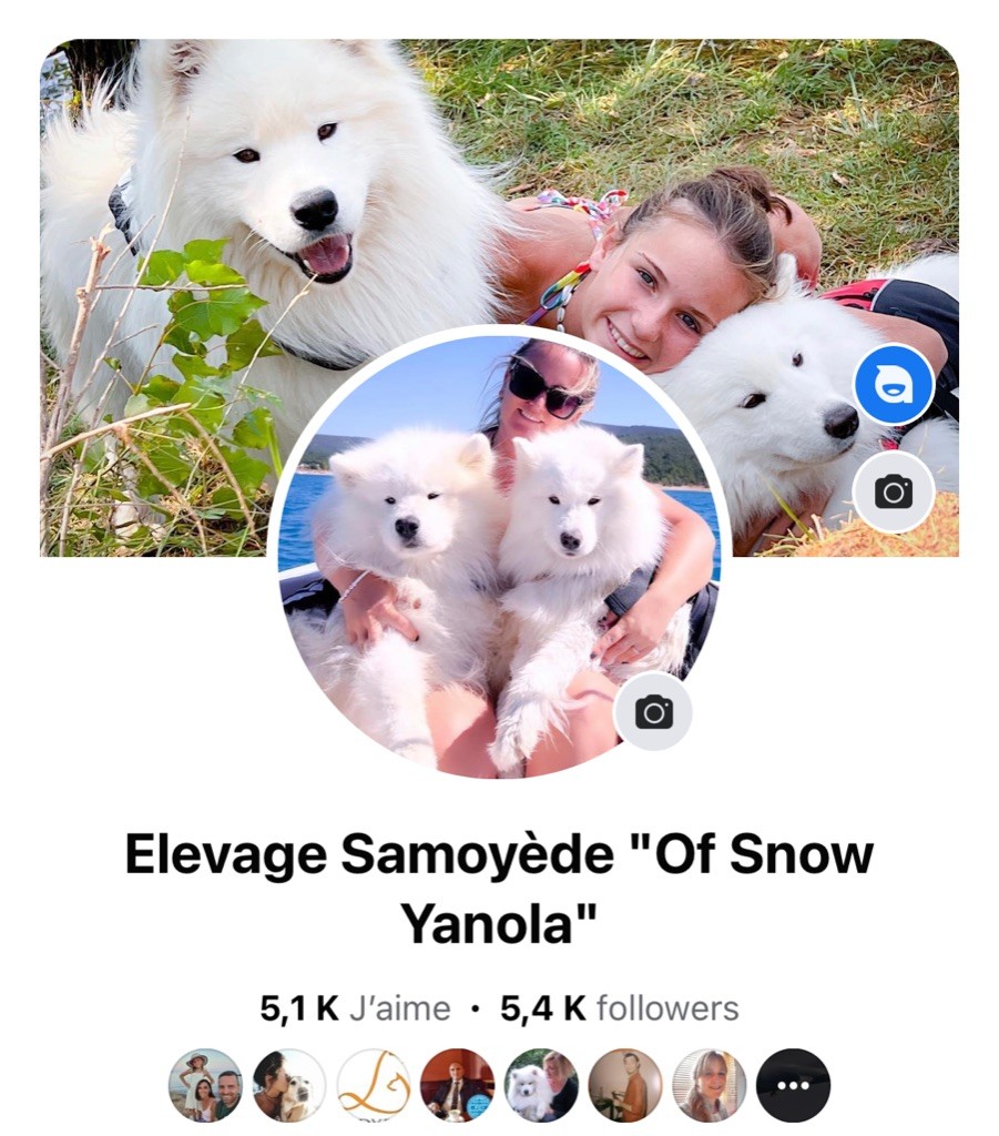 of Snow Yanola - LES MAILS N ARRIVENT PAS 