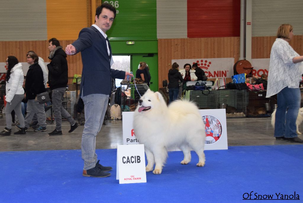 of Snow Yanola - PARIS DOG SHOW 07/01/2018