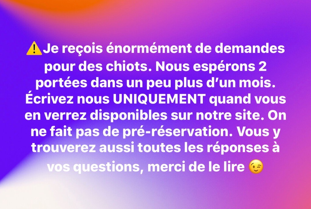 of Snow Yanola - Des bébés dans 1mois... Mais ne nous écrivez pas maintenant...