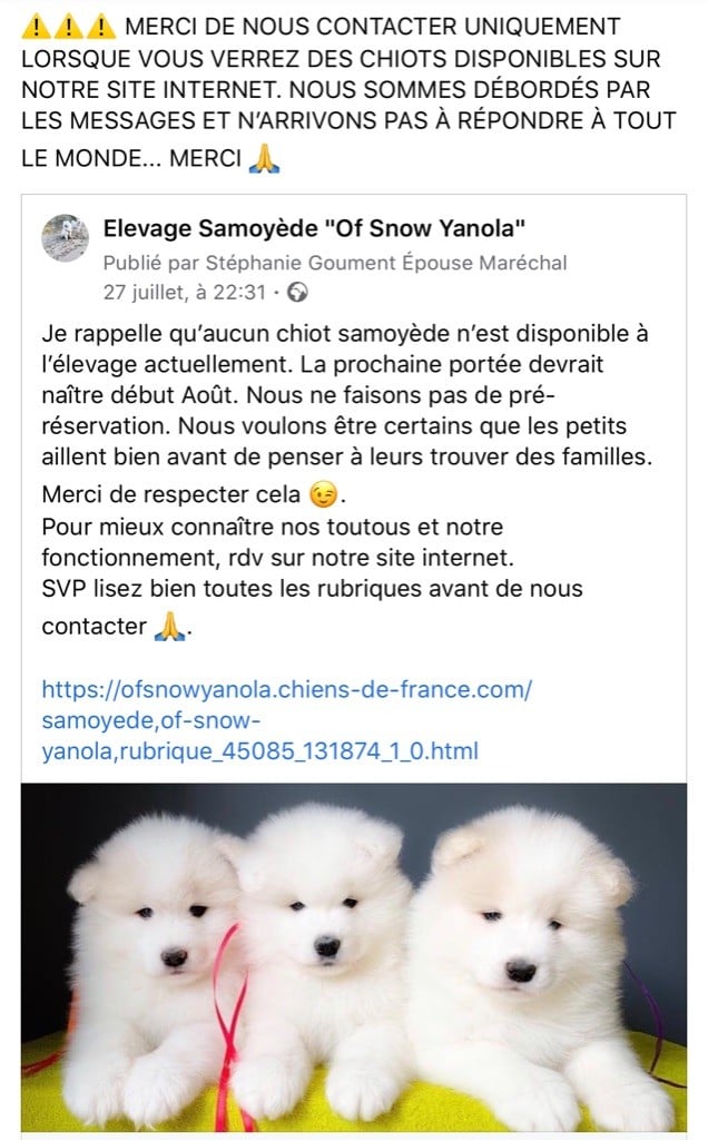 of Snow Yanola - Contact et messages :