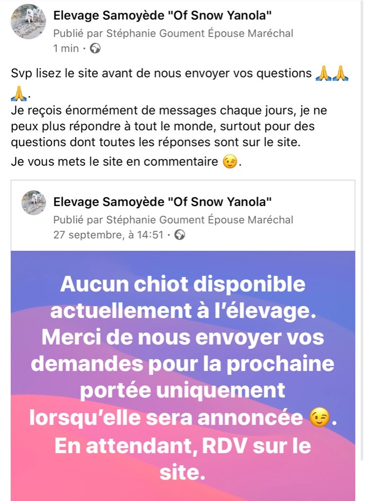 of Snow Yanola - Lisez toutes les rubriques avant d envoyer des messages svp ?