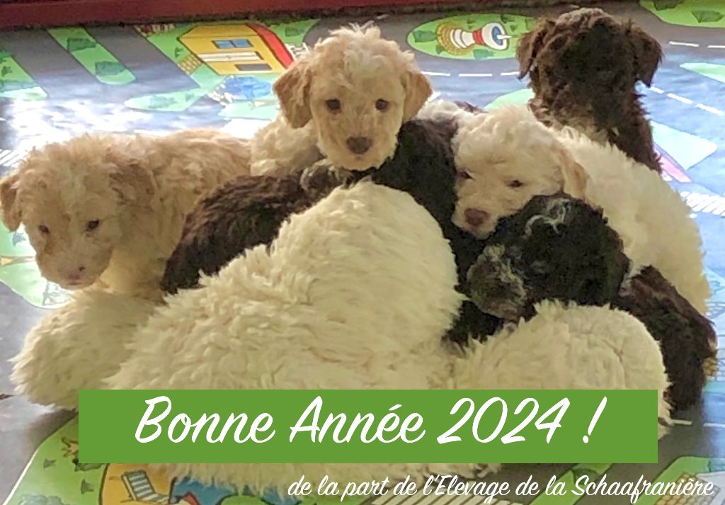 De La Schaafraniere - ANNEE 2024