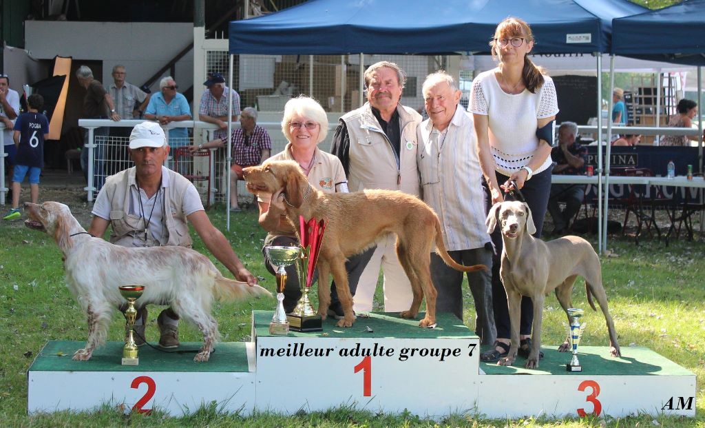 EXPOSITION JARNAC  (16)