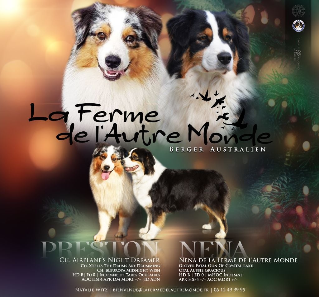 de la ferme de l'autre monde - Portée NENA et PRESTON