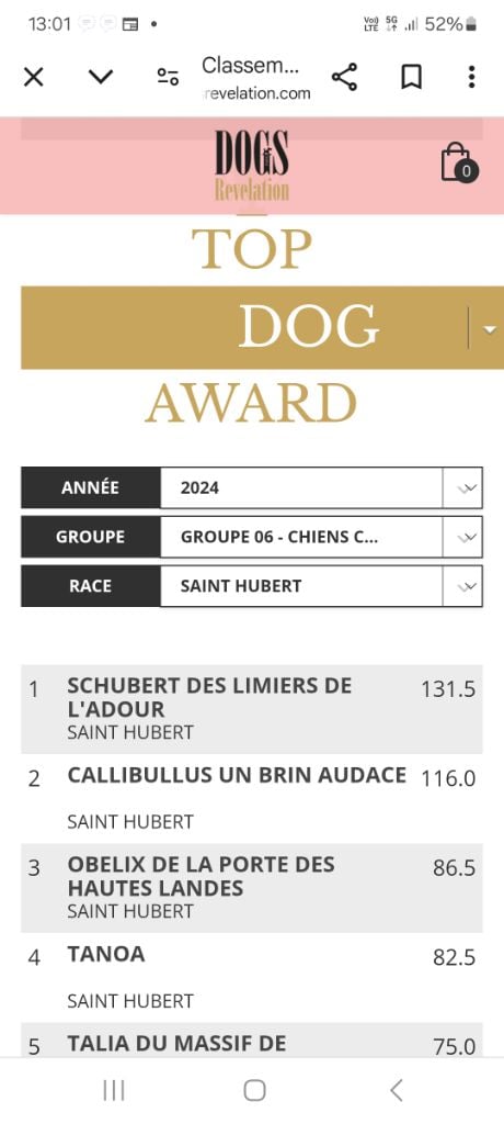 Callibullus - resultats de l'année sur dog revelation