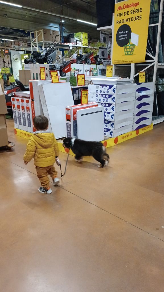 Tous les bébés ont une famille