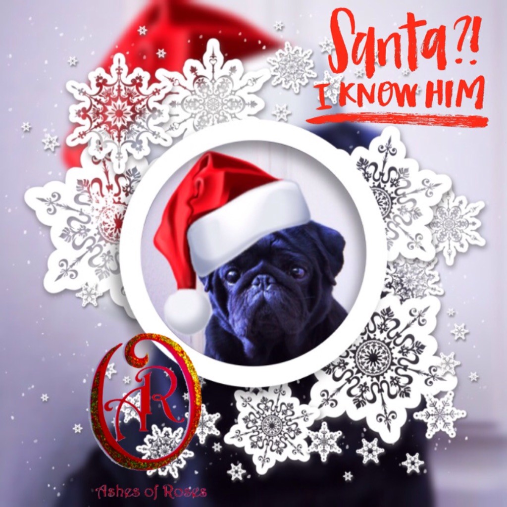 Ashes Of  Roses - Santa Pug !