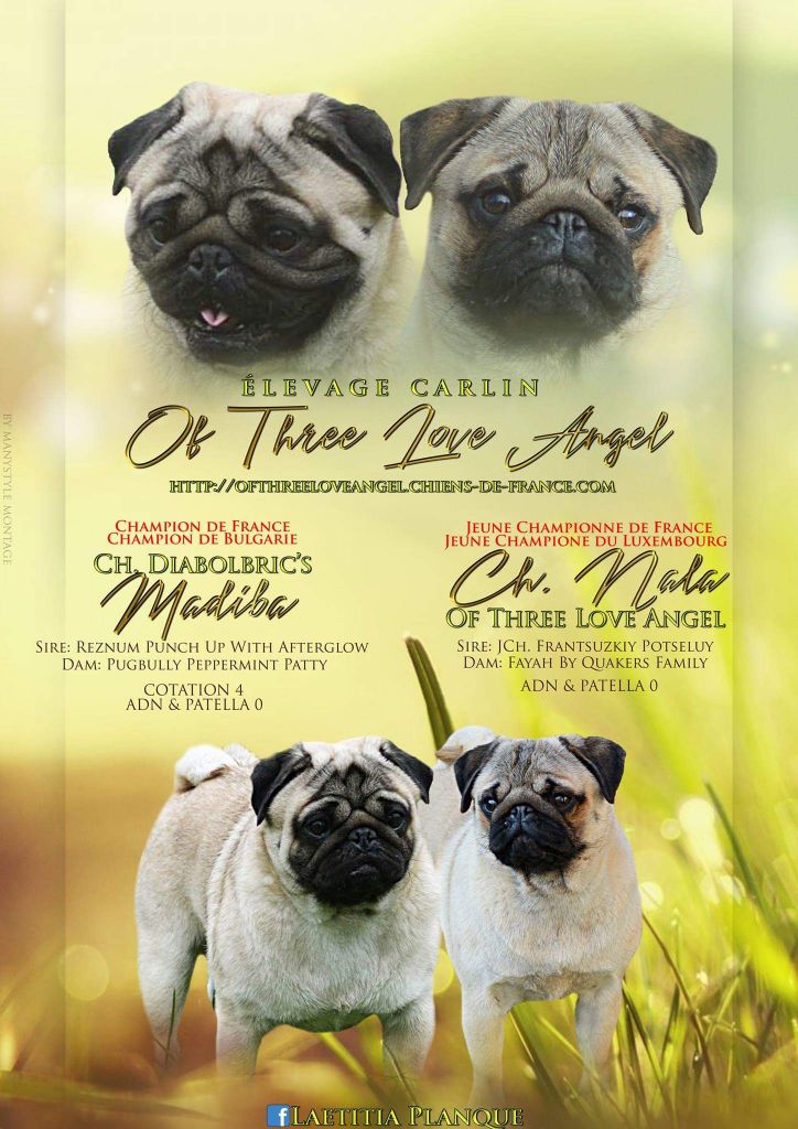 of three love angel - Mariage de Nala et Madiba