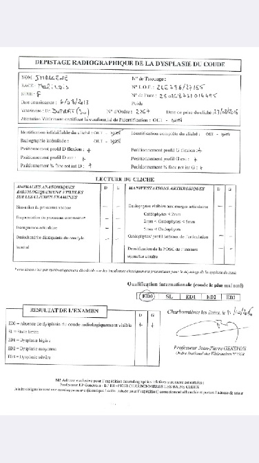 De L'esquisse Sauvage - Résultat Officiel Dépistage Dysplasie du Coude pour IMALGENE