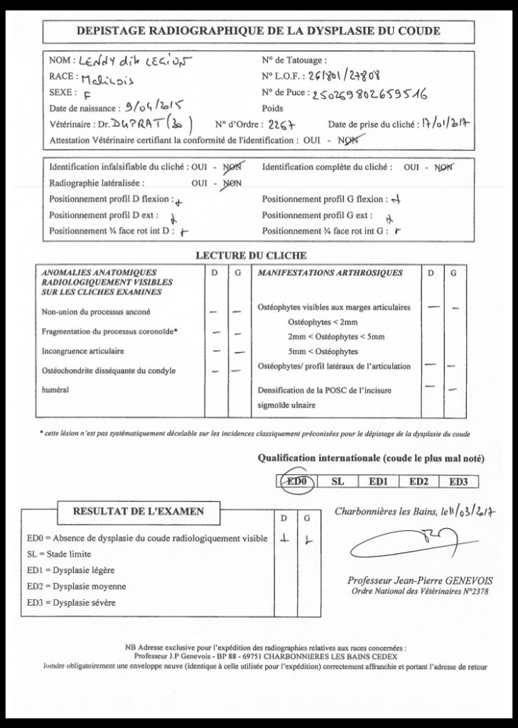 De L'esquisse Sauvage - Résultat Offciel Dépistage Dysplasie du Coude pour LÉGION