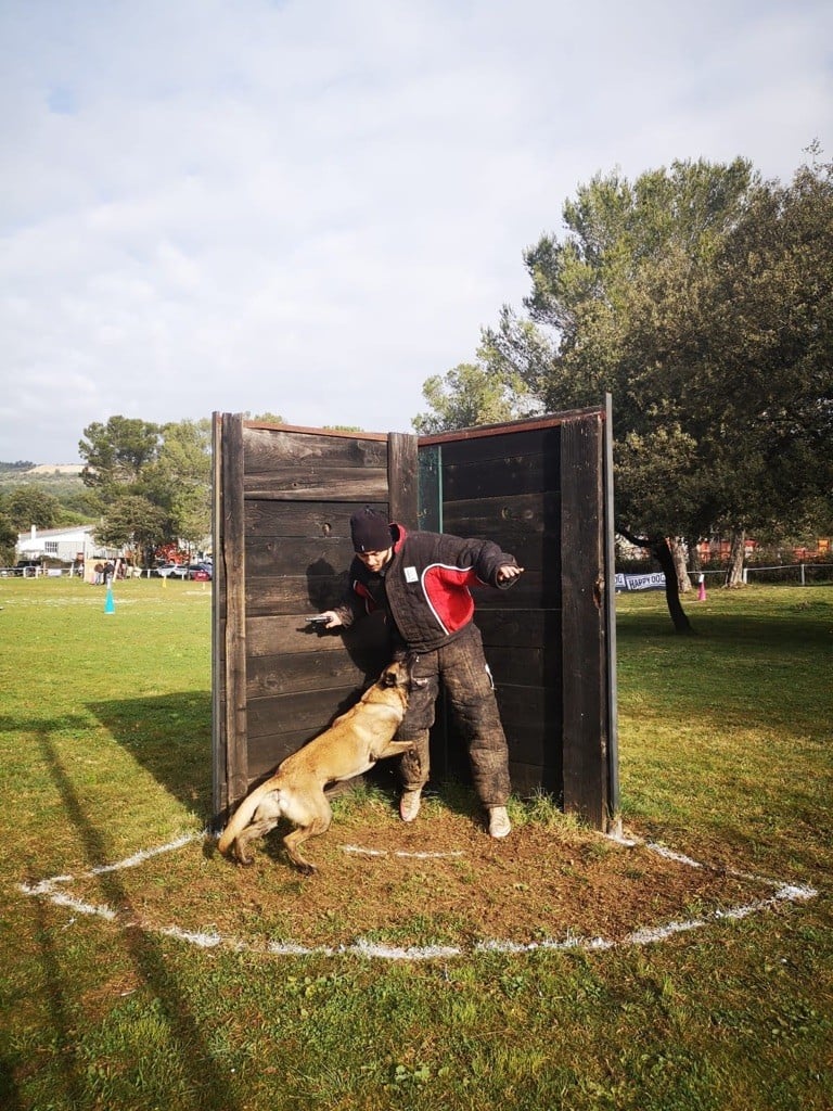 CONCOURS RING BRIGNOLES 