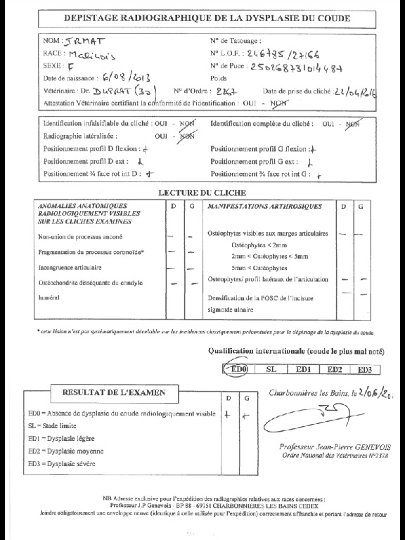 De L'esquisse Sauvage - Résultat Officiel Dépistage Dysplasie du Coude pour IRMAT 