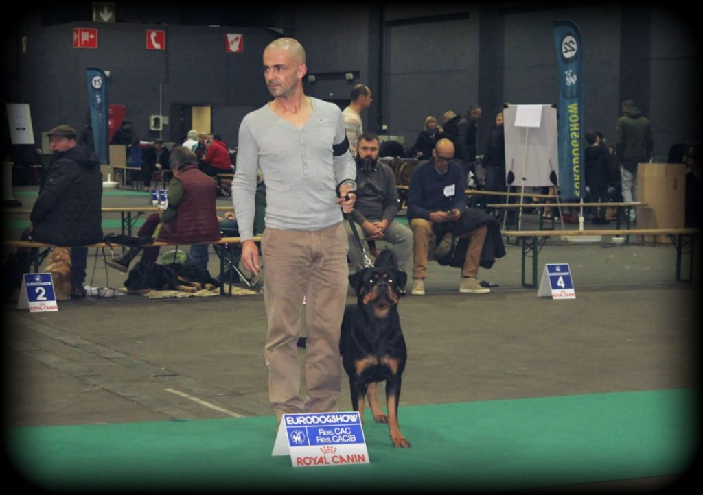 Des Gardiens Du Neckar - Eurodog show