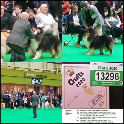 De La Nit - CRUFTS 2020