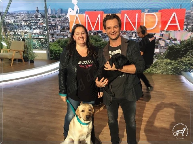 De L'etang Des Vignerons - Nos chiots à l'honneur sur FRANCE 2