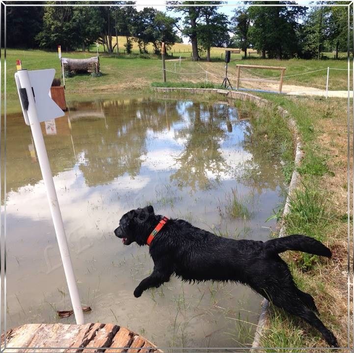 De L'etang Des Vignerons - MAGIE NOIRE de l'Etang des Vignerons