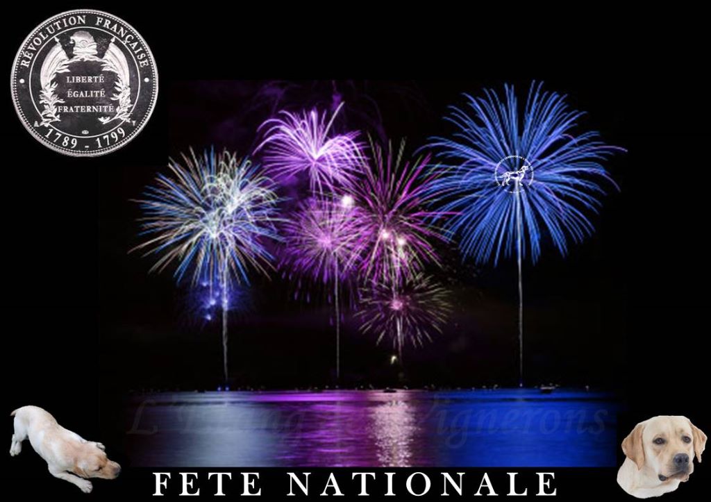 De L'etang Des Vignerons - FETE NATIONALE